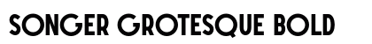 SONGER Grotesque Bold Preview