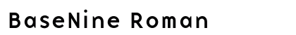 BaseNine Roman Font Preview
