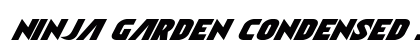Ninja Garden Condensed Italic Condensed Italic Font Preview