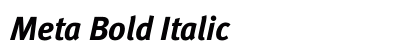 Meta Bold Italic Preview