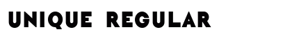 Unique Regular preview