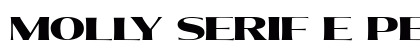 Molly Serif E PERSONAL Black preview