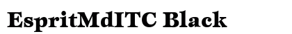 EspritMdITC Black preview