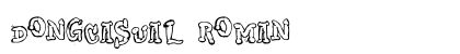 DongCasual Roman Font DongCasual Roman Font Preview