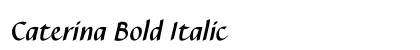Caterina Bold Italic Font Caterina Bold Italic Font Preview