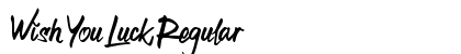 Wish You Luck Regular preview