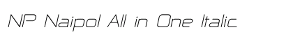 NP Naipol All in One Italic preview