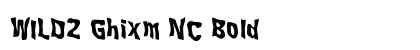 WILD2 Ghixm NC Bold preview