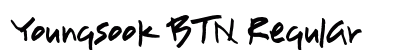 Youngsook BTN Regular Font Preview Youngsook BTN Regular Font Preview
