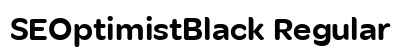 SEOptimistBlack Regular