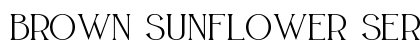 BROWN SUNFLOWER SERIF PERSONAL Regular