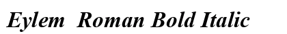 Eylem Roman Bold Italic preview Eylem Roman Bold Italic preview