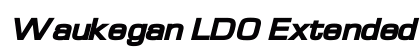 Waukegan LDO Extended Black Oblique preview