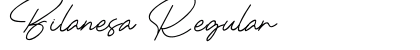 Bilanesa Regular Font Preview