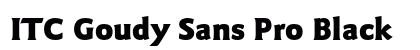 ITC Goudy Sans Pro Black preview
