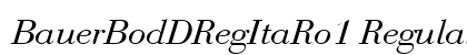 BauerBodDRegItaRo1 Regular font free download