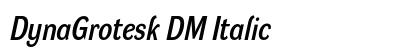 DynaGrotesk DM Italic preview DynaGrotesk DM Italic preview