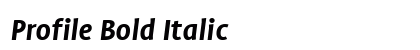 Profile Bold Italic Preview