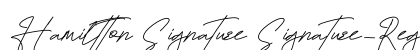 Hamiltton Signature Signature-Regular preview Hamiltton Signature Signature-Regular preview