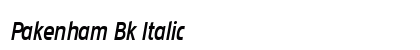 Pakenham Bk Italic Preview