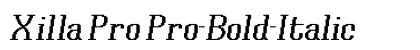 Xilla Pro Pro-Bold-Italic preview