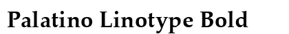 Palatino Linotype Bold font free download