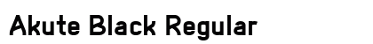 Akute Black Regular preview