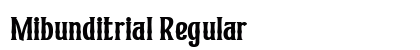 Mibunditrial Regular preview
