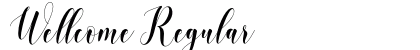 Wellcome Regular Font Preview