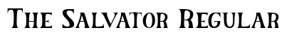 The Salvator Regular