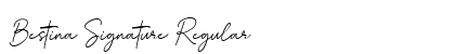 Bestina Signature Regular preview