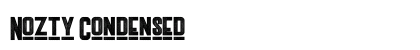 Nozty Condensed preview