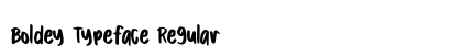 Boldey Typeface Regular preview