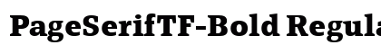 PageSerifTF-Bold Regular Font Preview PageSerifTF-Bold Regular Font Preview