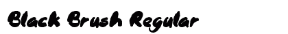 Black Brush Regular preview