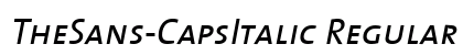 TheSans-CapsItalic Regular
