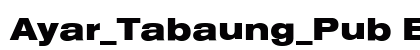Ayar_Tabaung_Pub Bold preview