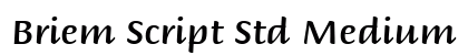 Briem Script Std Medium Regular preview