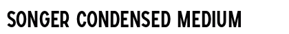 SONGER Condensed Medium preview