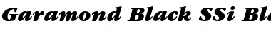 Garamond Black SSi Black Italic Font