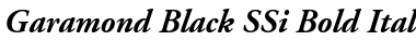 Garamond Black SSi Bold Italic Font