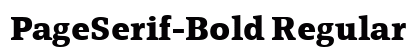 PageSerif-Bold Regular Font Preview