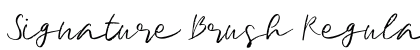 Signature Brush Regular preview