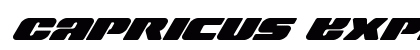 Capricus Expanded Italic Expanded Italic preview