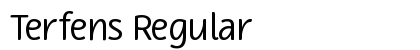 Terfens Regular Font Preview