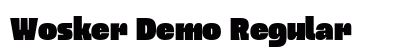Wosker Demo Regular preview