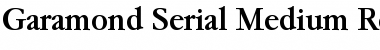 Garamond-Serial-Medium Regular Font