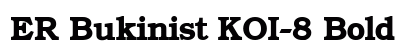 ER Bukinist KOI-8 Bold Preview