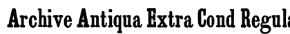 Archive Antiqua Extra Cond Regular preview Archive Antiqua Extra Cond Regular preview