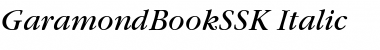 GaramondBookSSK Italic Font